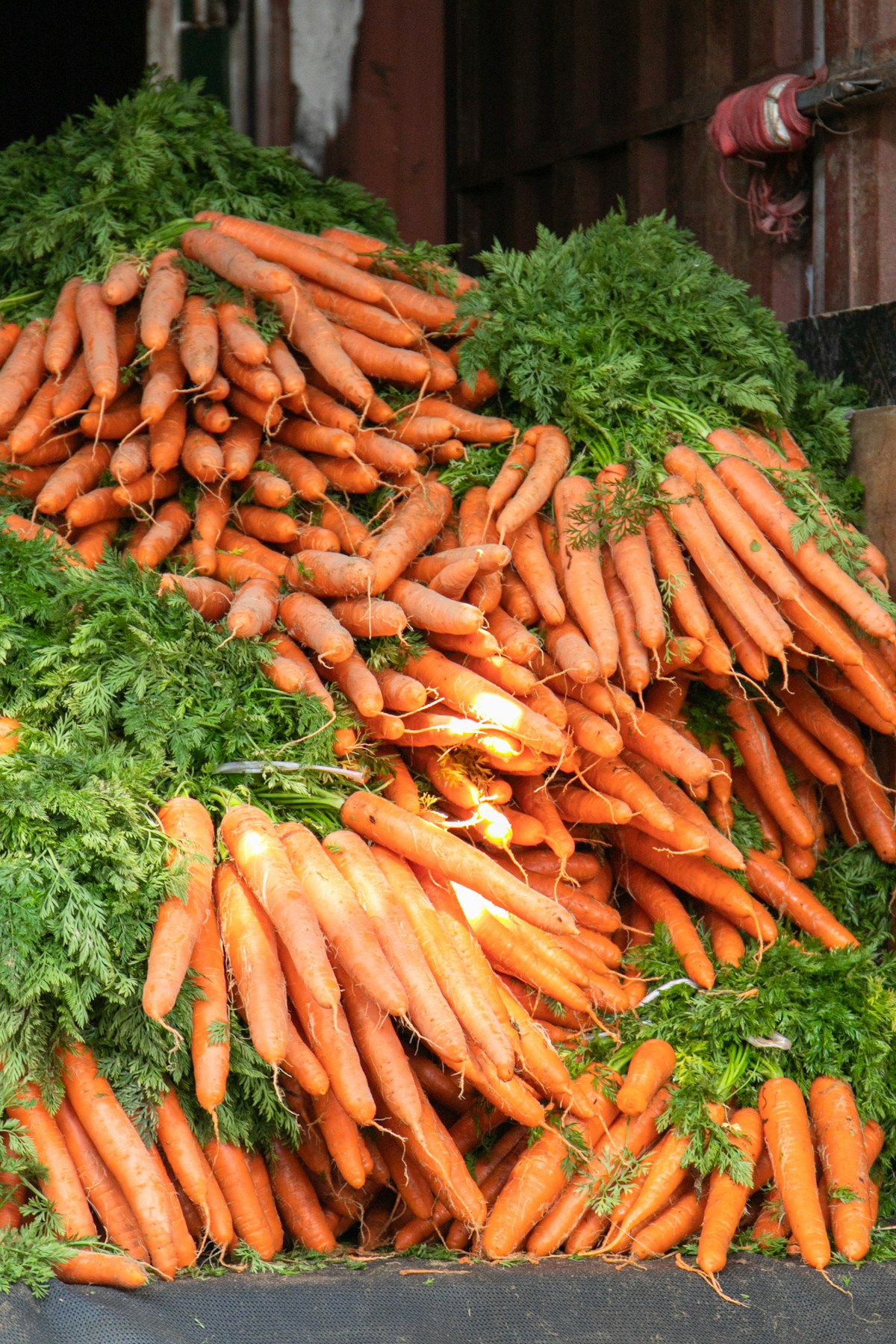 Търговия с пресни продукти