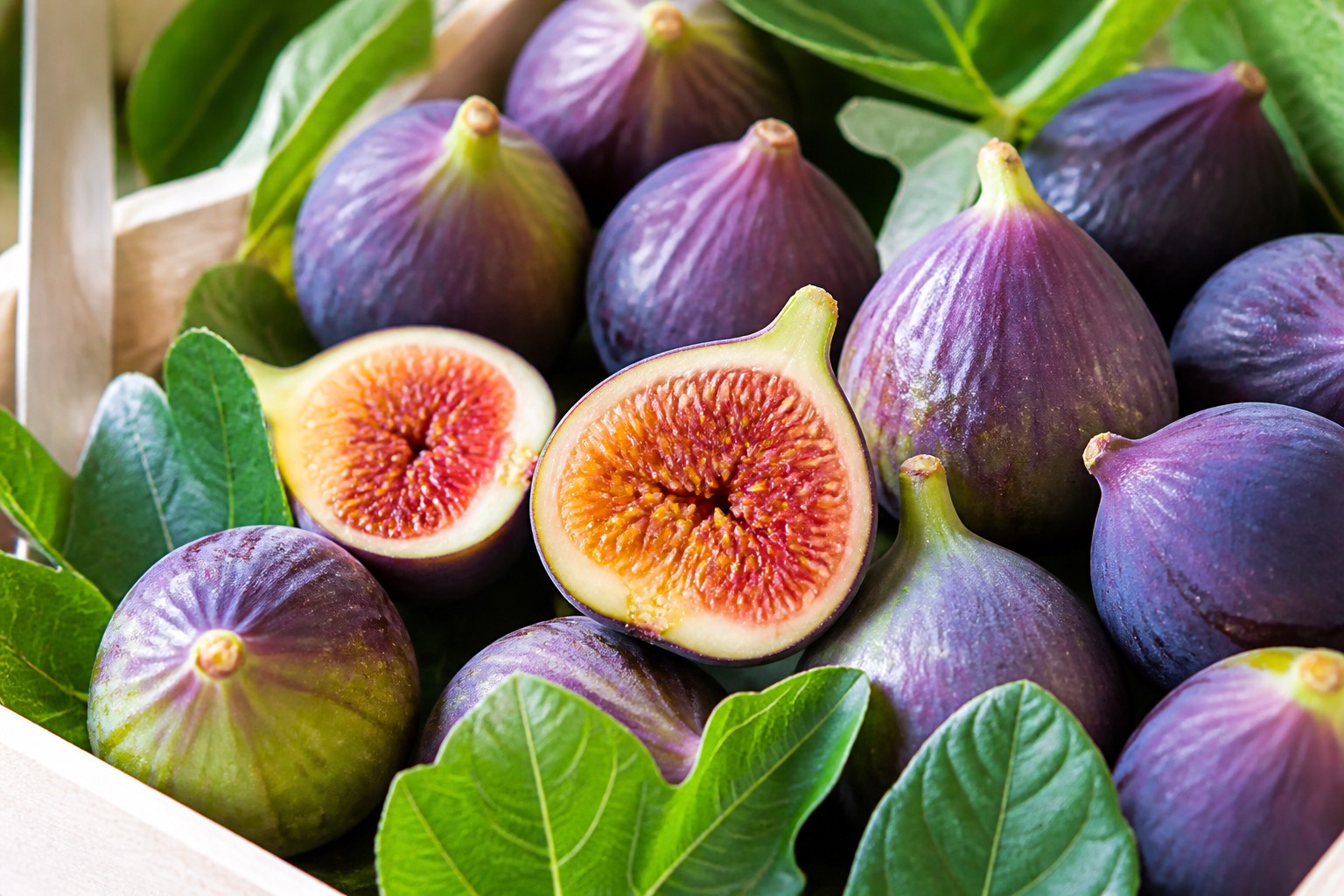 Търговия с пресни продукти