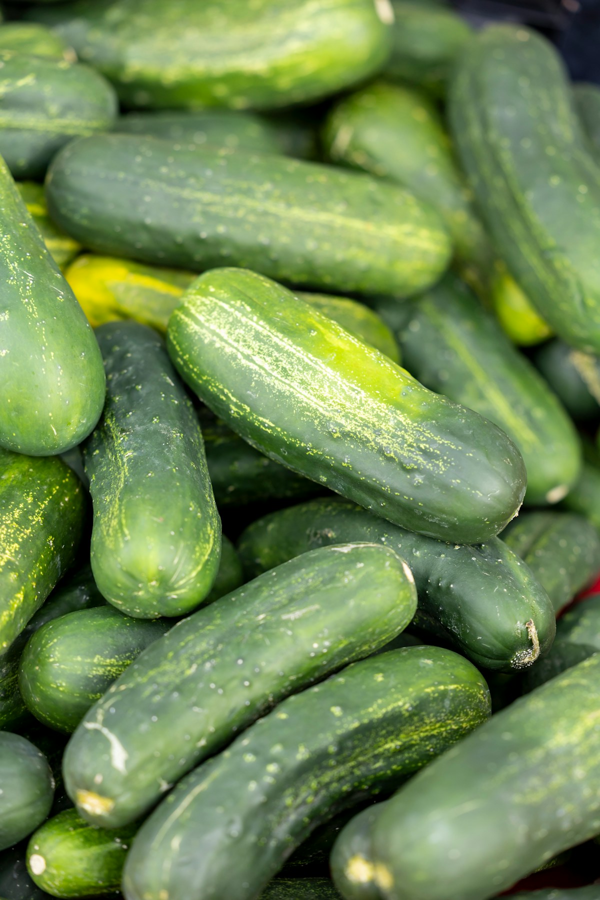 Търговия с пресни продукти